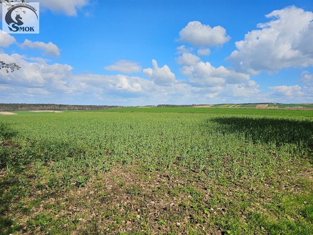 Działka budowlana z widokiem, las, media, 15a Nasiechowice  1 500m2 Foto 1