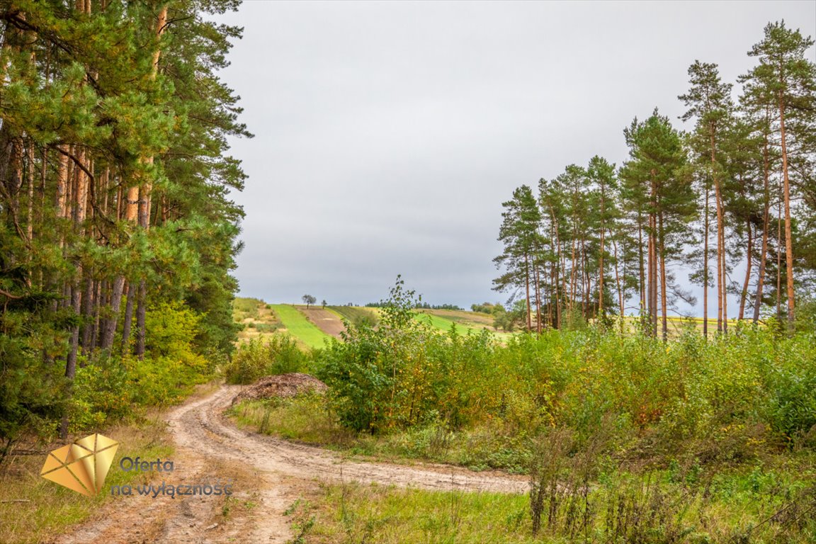 Działka budowlana na sprzedaż Józefów  53 830m2 Foto 11