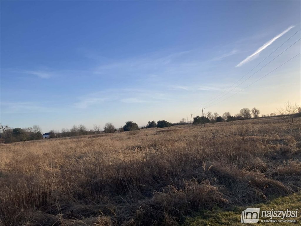 Działka rolna 27 800 m² z dostępem do gazu i własną wodą Żarnowo  27 800m2 Foto 1