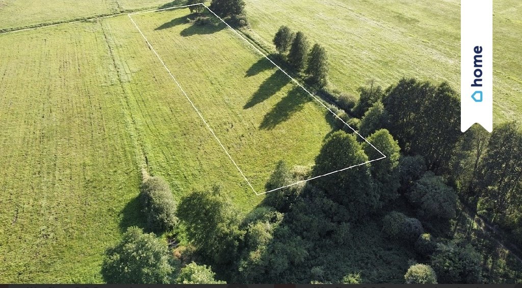 Działka inwestycyjna na sprzedaż Żurczyn  13 000m2 Foto 1