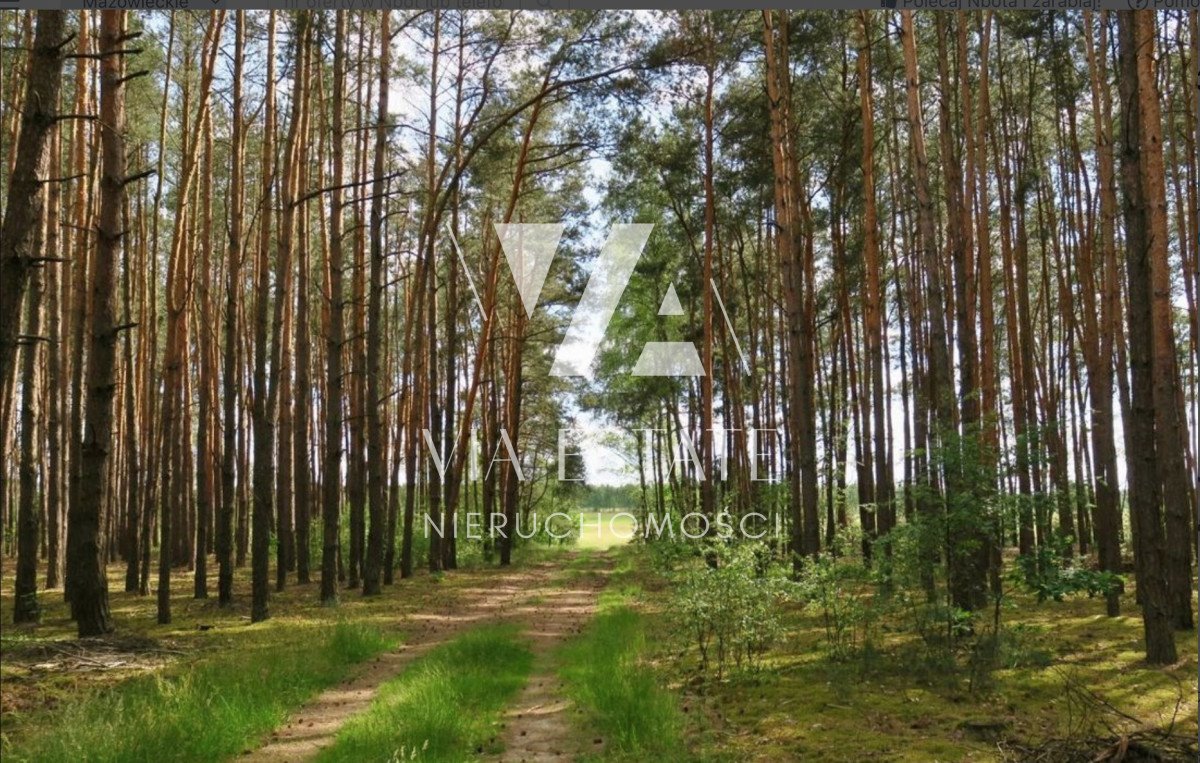 Działka rolna na sprzedaż Glinianka  34 500m2 Foto 1