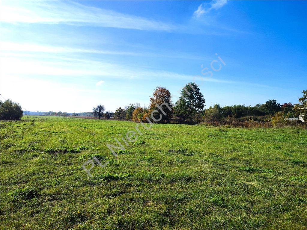 Polecam działkę 3000 m² z dostępem do asfaltu w Książenicach Książenice  3 000m2 Foto 1