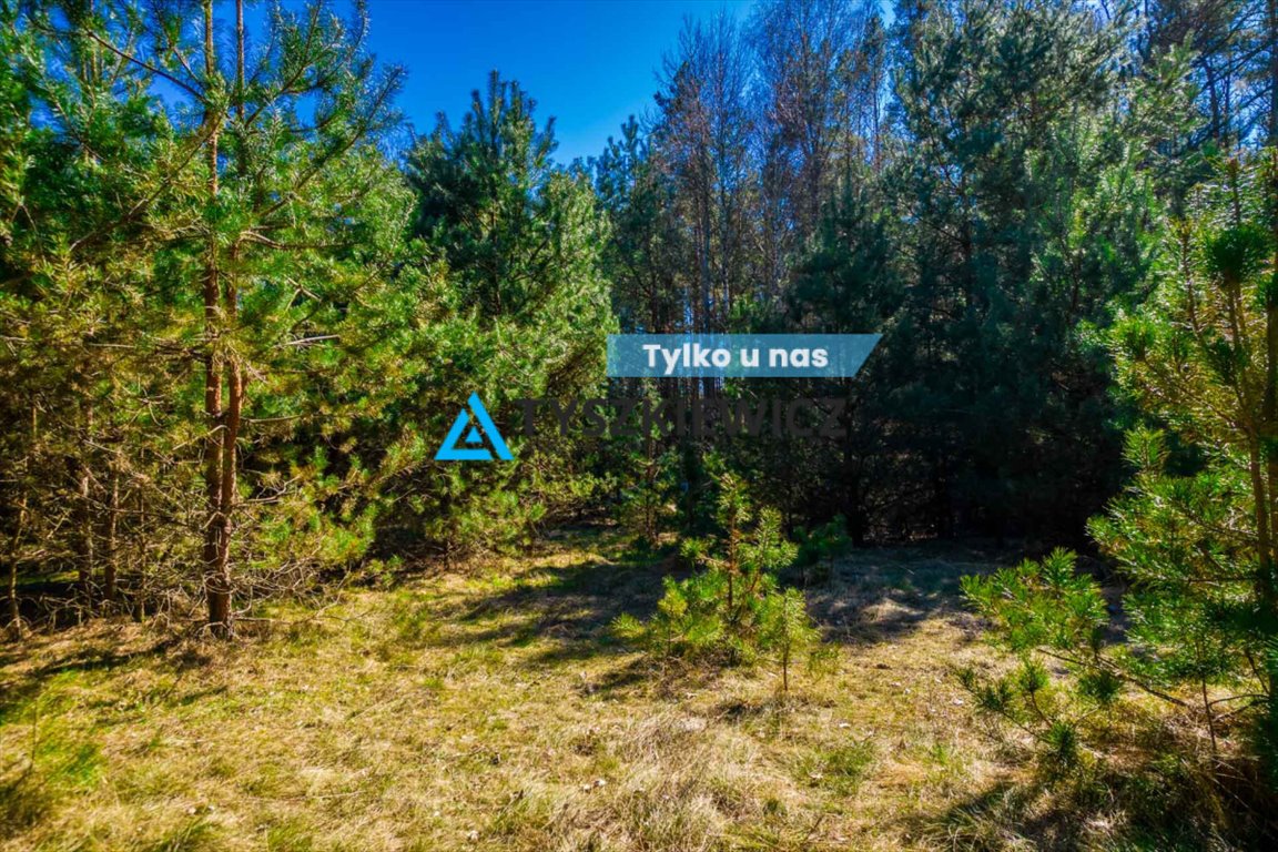 Urokliwa działka 5059 m² w sercu Kaszub z dostępem do jezior Górne Maliki  5 059m2 Foto 1