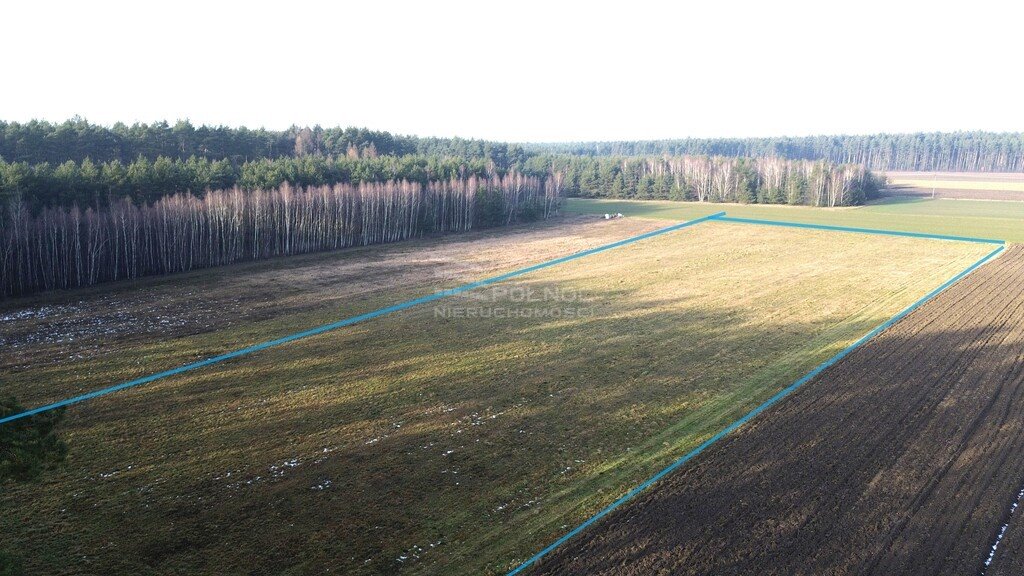 Działka rolna na sprzedaż Nowa Wieś  15 730m2 Foto 3