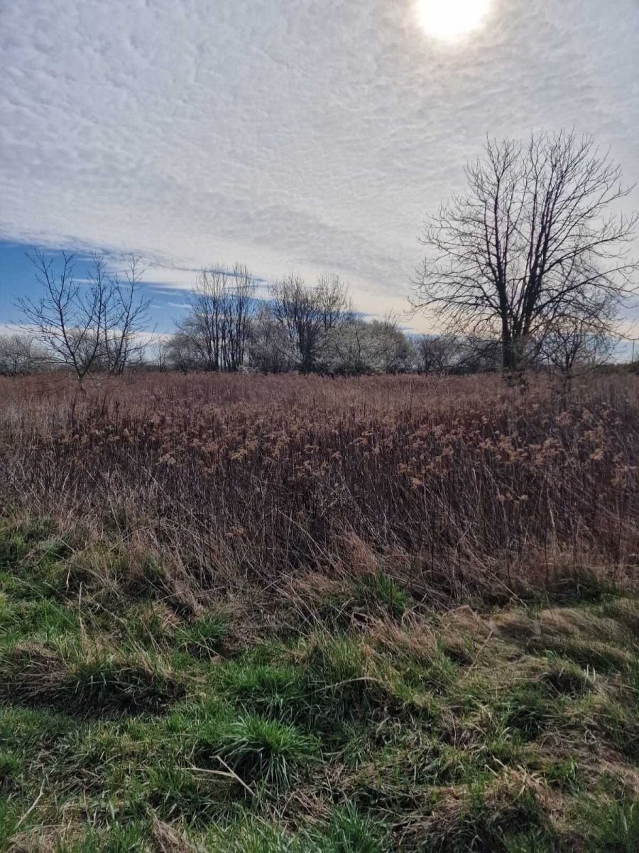 Działka budowlana na sprzedaż Jeszkowice  2 637m2 Foto 2