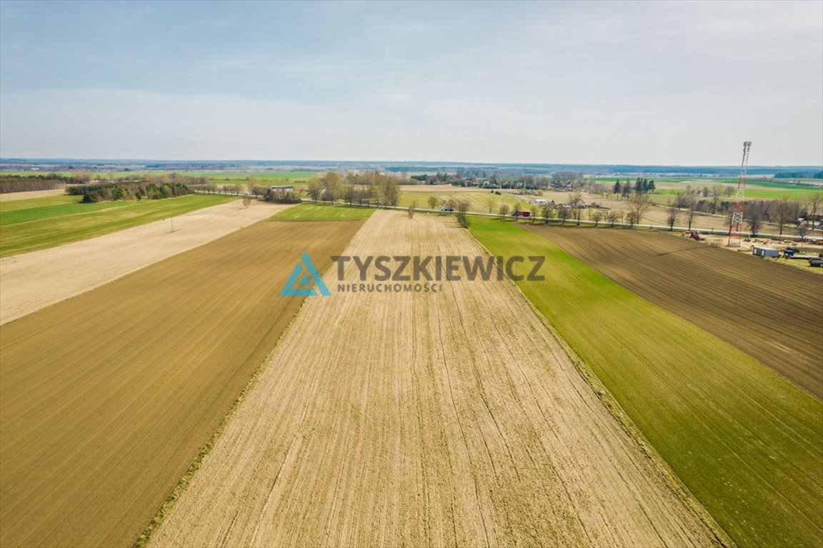 Działka rolna na sprzedaż Stara Dąbrowa  60 000m2 Foto 9