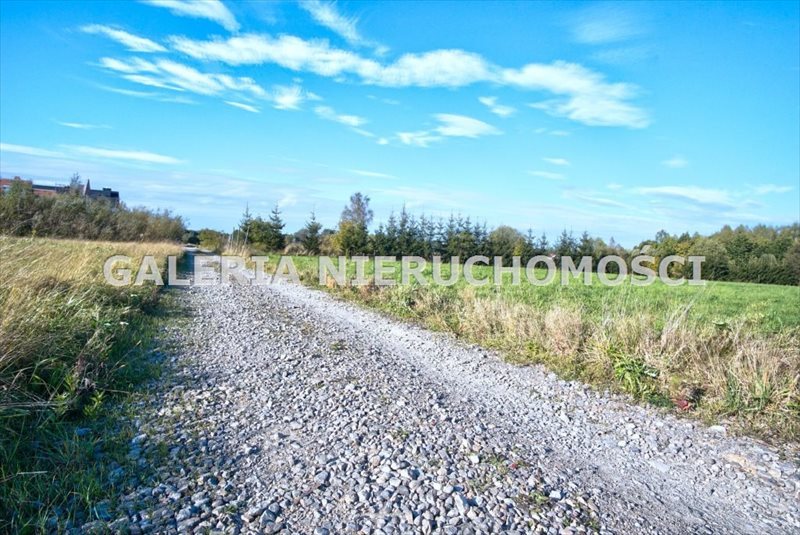 Działka inna na sprzedaż Krasne, - 8 400m2 Foto 1 Działka inna na sprzedaż Krasne, - 8 400m2 Foto 1