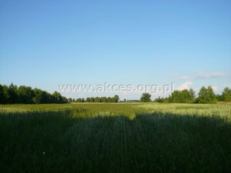 Działka budowlana na sprzedaż Bartoszówka  10 000m2 Foto 1