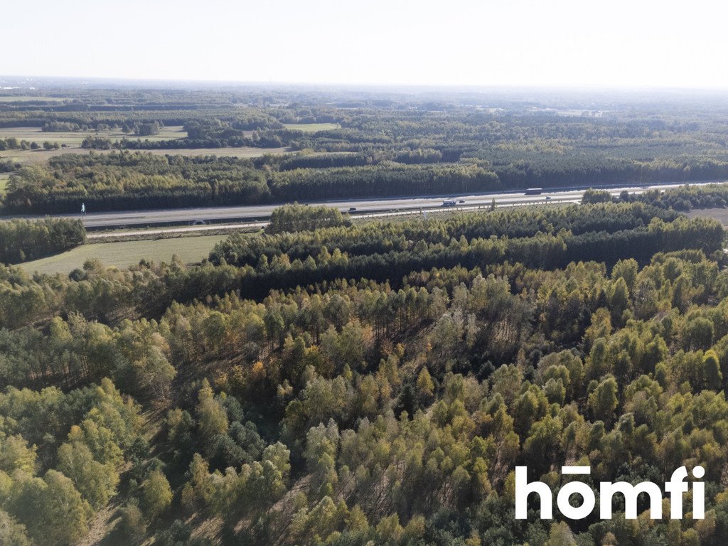 Działka inna na sprzedaż Kacprowice  4 100m2 Foto 3