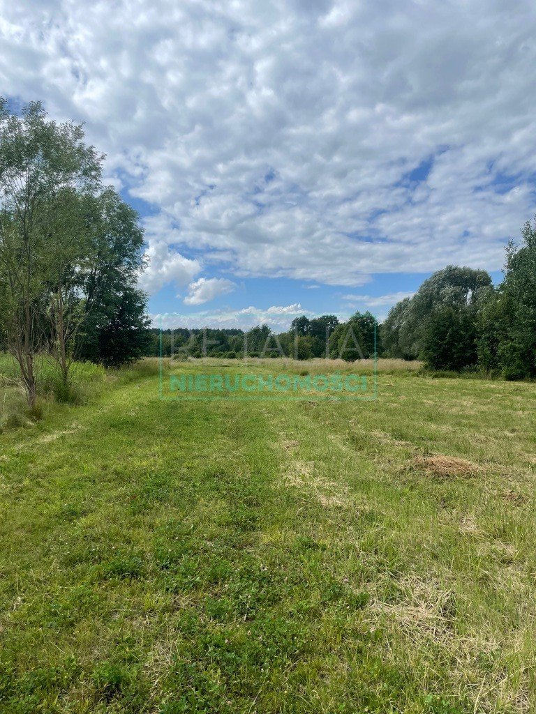 Działka budowlana na sprzedaż Franciszków  3 000m2 Foto 1