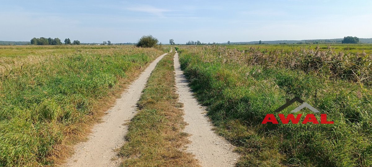 Działka gospodarstwo rolne na sprzedaż Karwieńskie Błoto Drugie  19 200m2 Foto 2