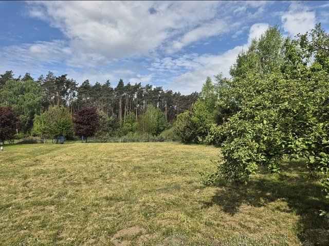 Działka siedliskowa na sprzedaż Grabno  4 500m2 Foto 1