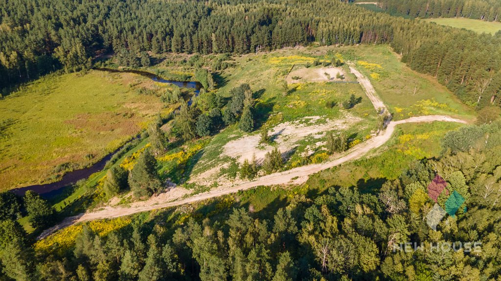 Działka budowlana na sprzedaż Dorotowo  3 811m2 Foto 12