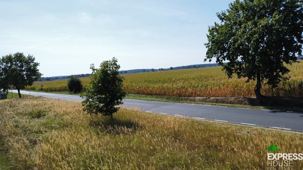 Działka budowlana na sprzedaż Bytyń, Bosmańska  798m2 Foto 8