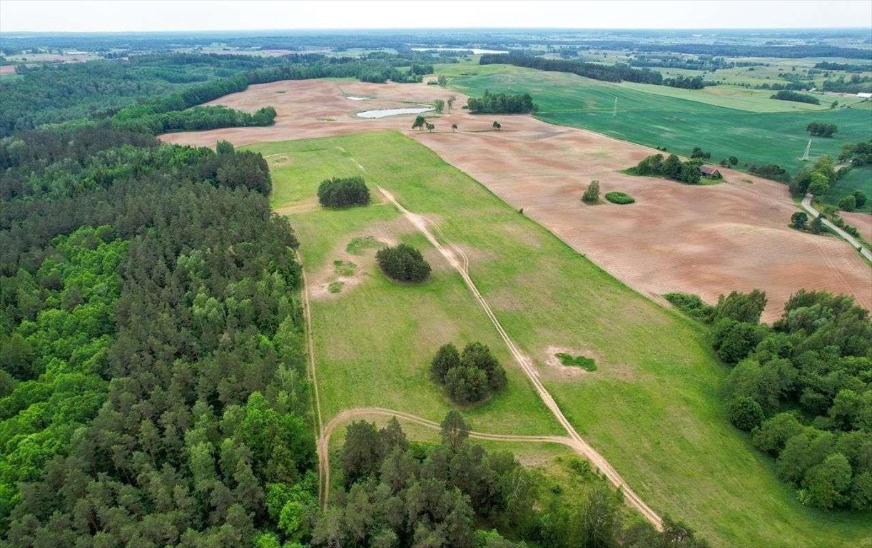 Działka rolna na sprzedaż Nowe Krzywe  3 011m2 Foto 9