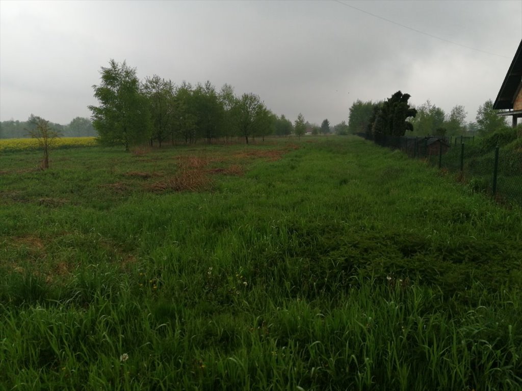 Działka gospodarstwo rolne na sprzedaż Ochodza  5 400m2 Foto 4