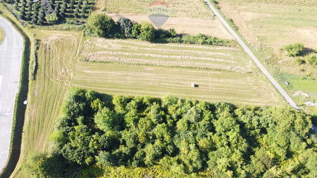 Działka budowlana na sprzedaż Ostrowiec Świętokrzyski, Wąwozy  1 887m2 Foto 5