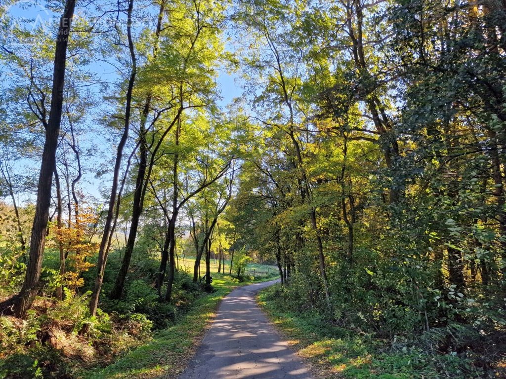 Działka budowlana na sprzedaż Błażkowa  2 559m2 Foto 12