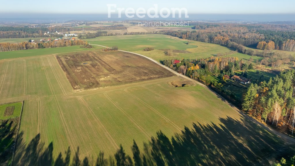 Działka budowlana na sprzedaż Żuławka  1 325m2 Foto 1