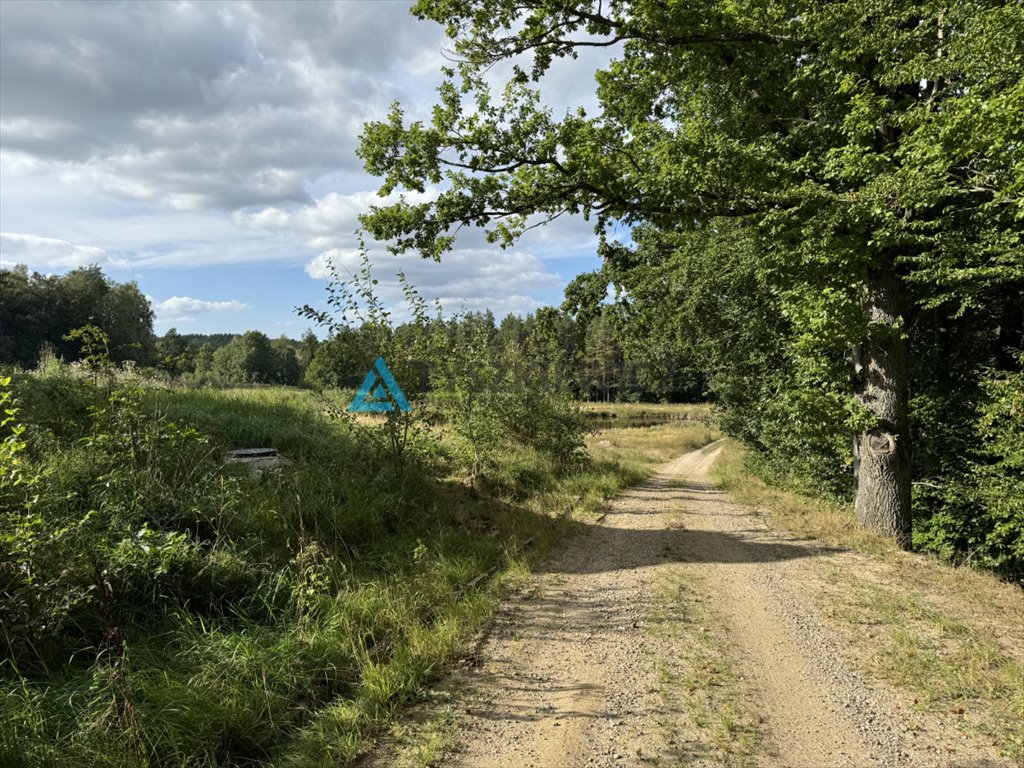 Działka siedliskowa na sprzedaż Mierzeszyn  12 301m2 Foto 4