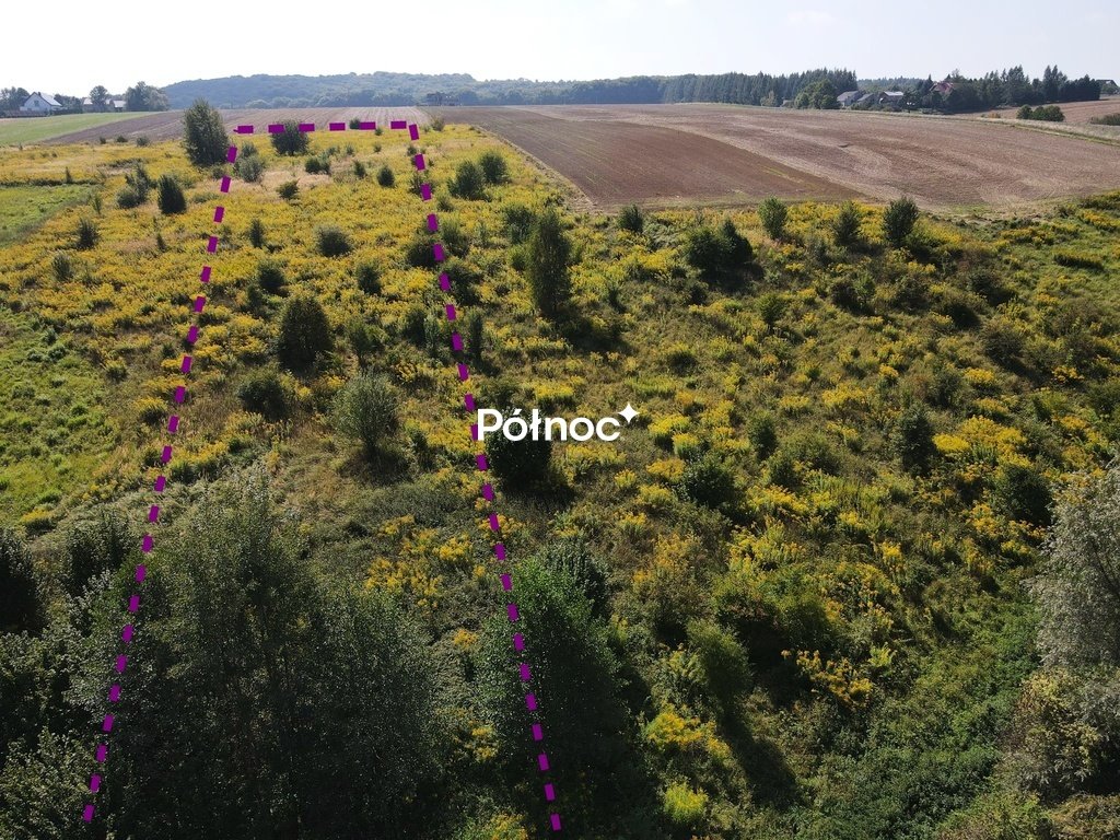Działka 4600 m² pod zabudowę jednorodzinną i usługową Przybysławice  4 600m2 Foto 1