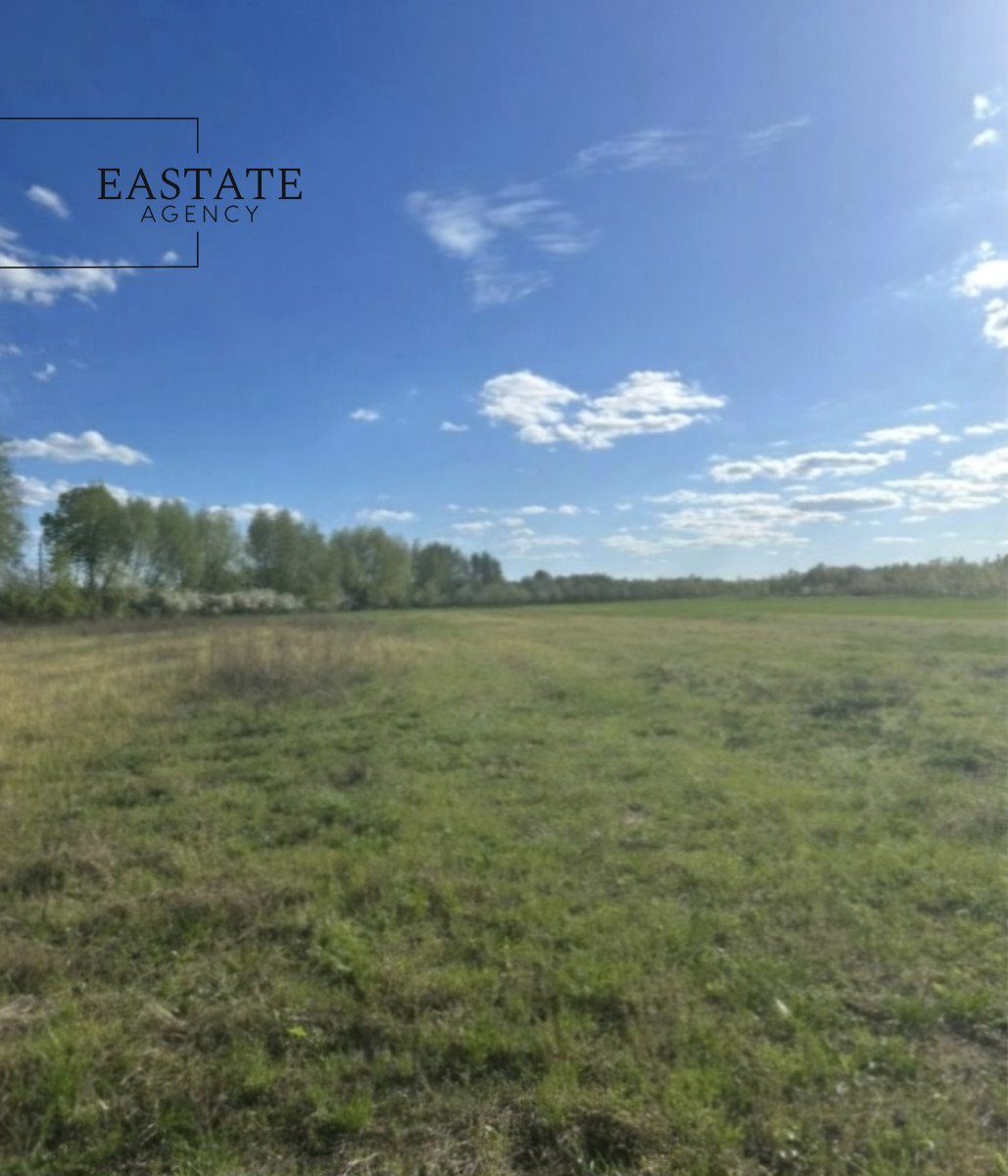 Działka 1000 m2 w Wincentowie pod dom marzeń w lesie Wincentów  1 000m2 Foto 1