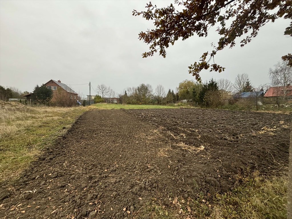 Działka budowlana na sprzedaż Malbork, Miłoradz  2 598m2 Foto 2