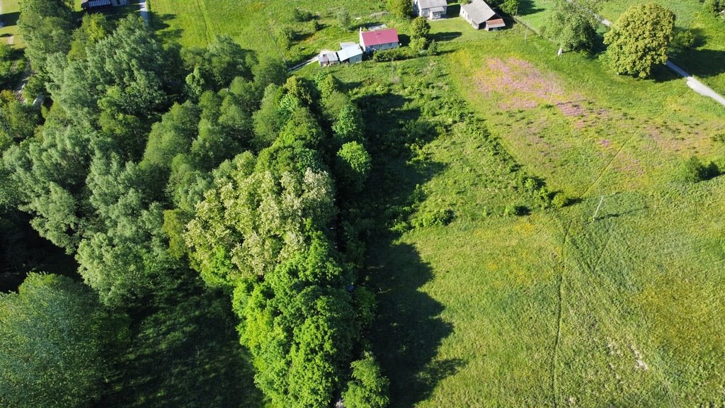 Działka inna na sprzedaż Błędowa Tyczyńska  4 841m2 Foto 4