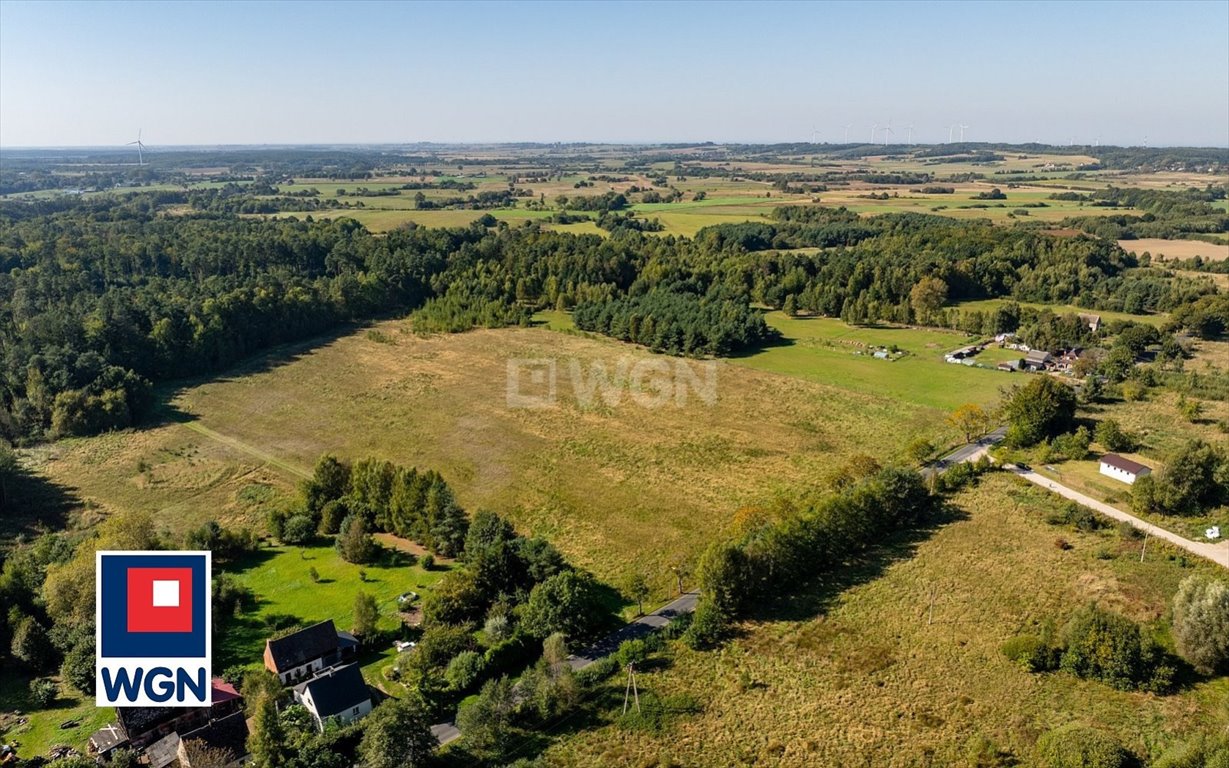 Działka siedliskowa na sprzedaż Kanin, Kanin  3 139m2 Foto 2