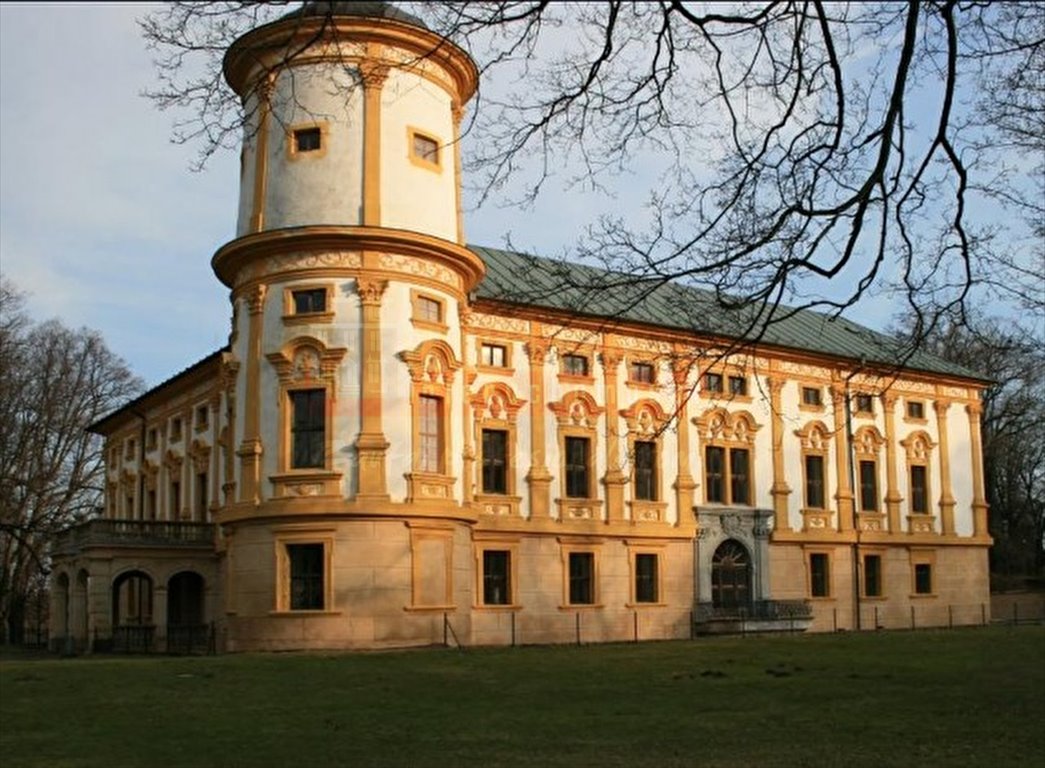 Lokal użytkowy na sprzedaż Lenarcice  1 500m2 Foto 3