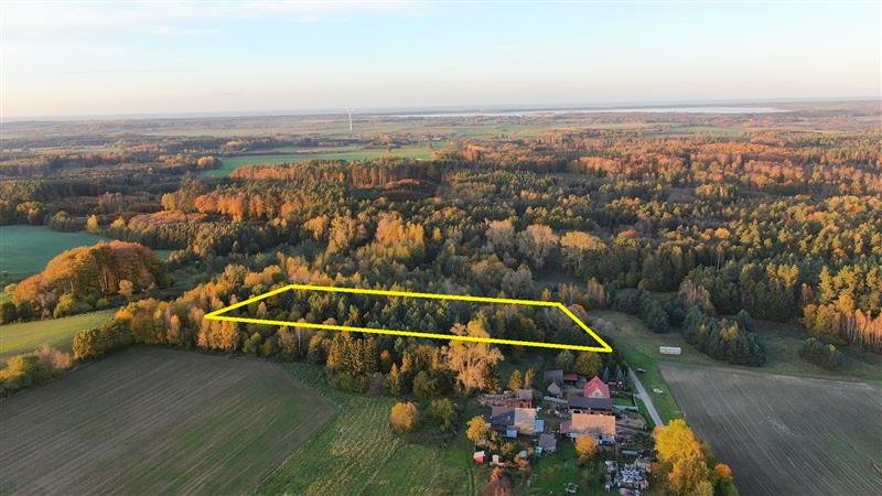 Sprzedam działkę 8,6 ha z lasem i możliwością zabudowy Masłowice, Masłowice  8 600m2 Foto 1