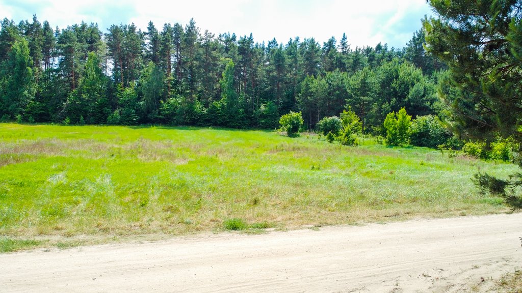 Działka budowlana na sprzedaż Żółtki  1 500m2 Foto 11