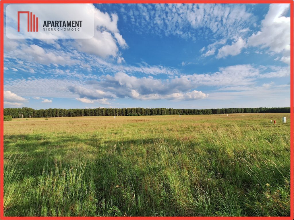Działka budowlana 315 m² w Plecemin, idealna pod dom! polecam! Plecemin  315m2 Foto 1