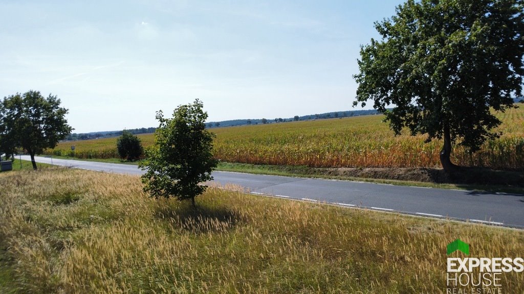 Działka budowlana na sprzedaż Bytyń, Bosmańska  798m2 Foto 8