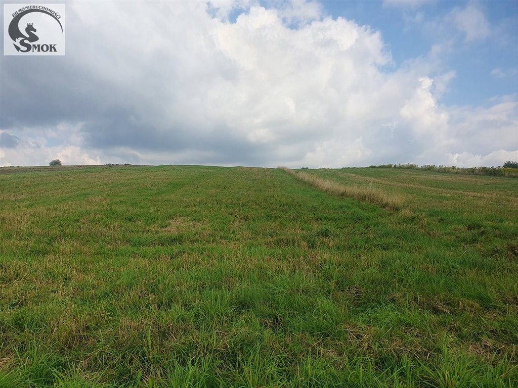 Do sprzedania widokowa działka rolna 6,05 ha z utwardzonym dojazdem Radziszów  6 050m2 Foto 1