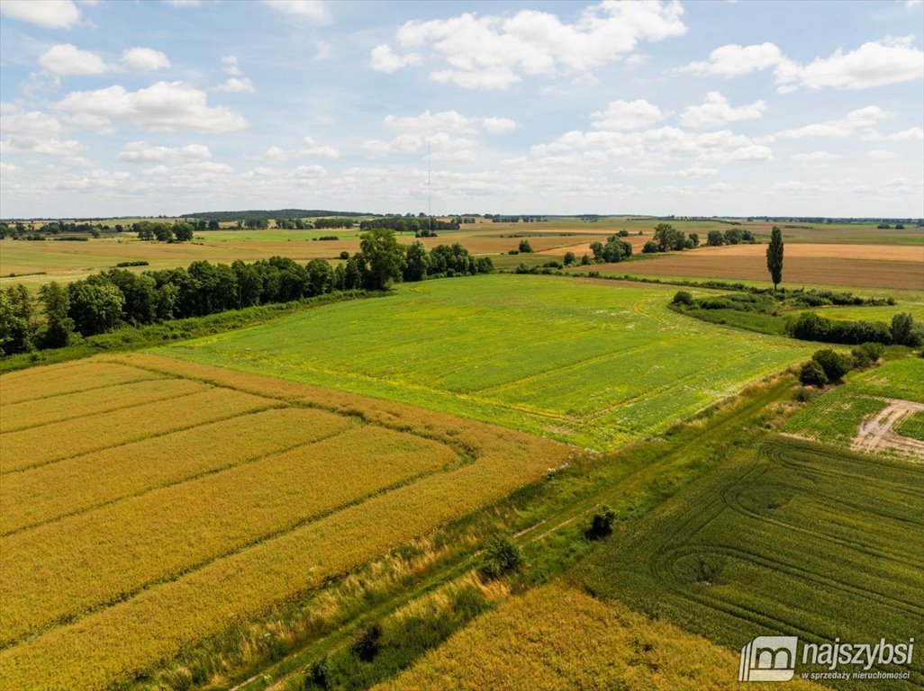 Działka rolna na sprzedaż Obromino  21 701m2 Foto 3