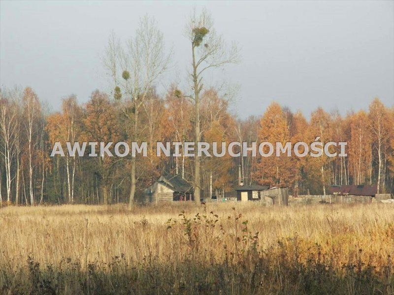 Działka rolna 2,12 ha z możliwością podziału i zabudowy Skierniewice, Borowiny  21 200m2 Foto 1