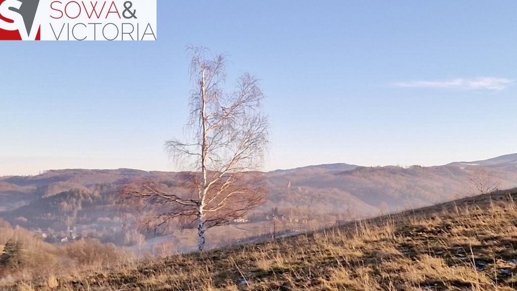 Działka inna na sprzedaż Zagórze Śląskie  32 000m2 Foto 13