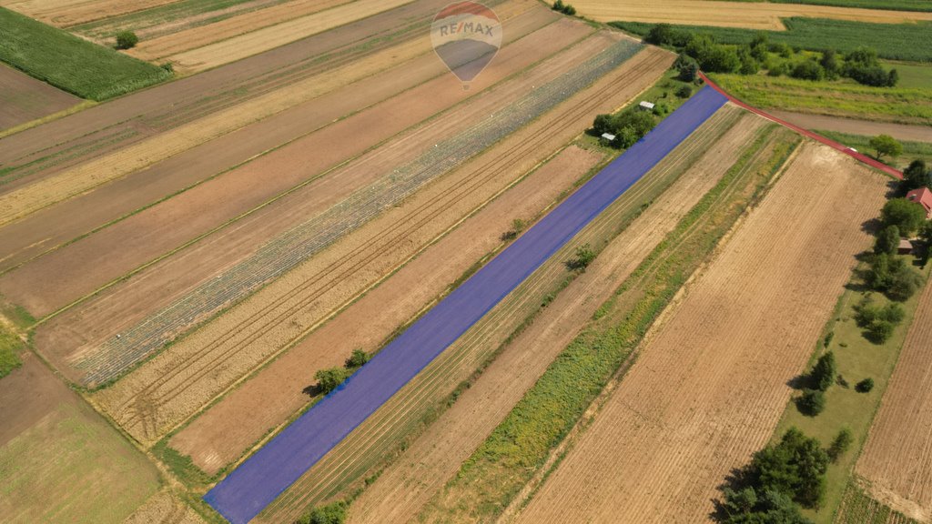 Działka budowlana na sprzedaż Krzysztoforzyce  5 500m2 Foto 2