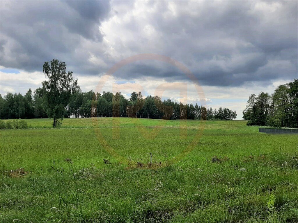 Działka rolna na sprzedaż Dobra Wola  3 303m2 Foto 9