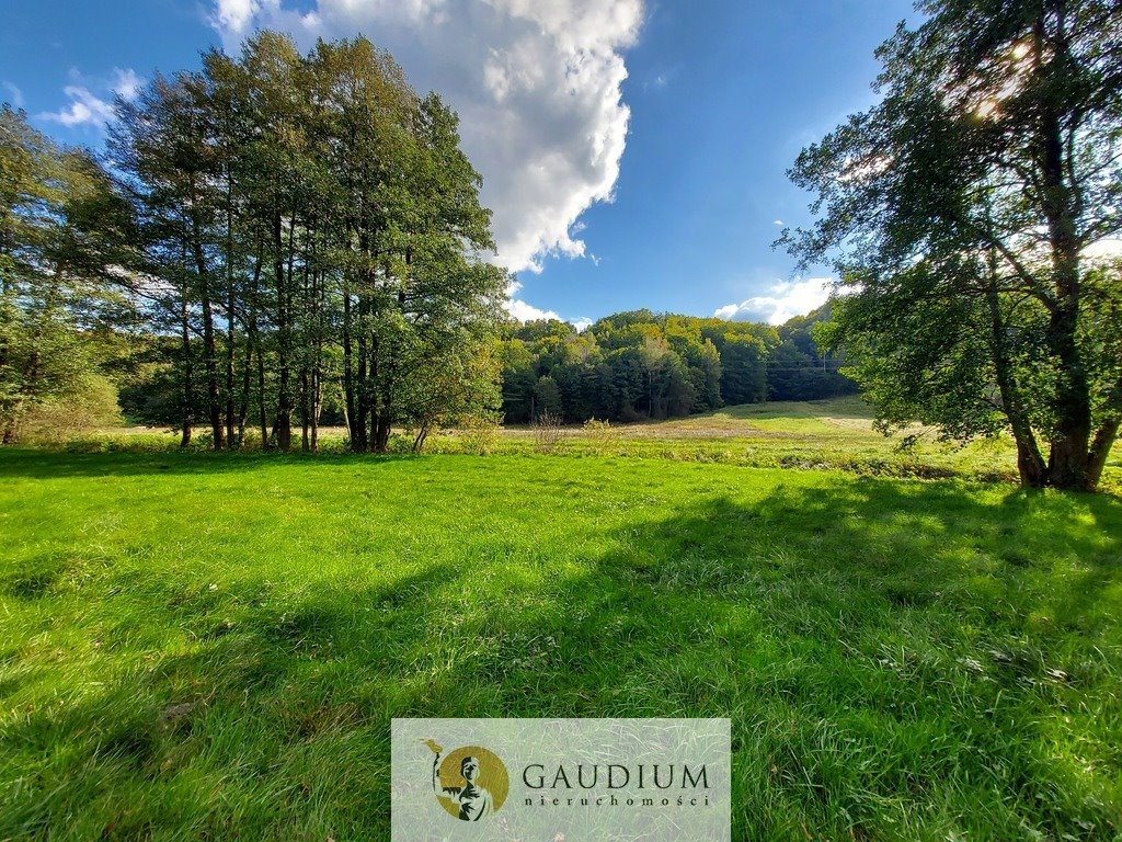 Urokliwa działka 1,18 ha w Kaszubach, cisza i natura Kobysewo  11 800m2 Foto 1