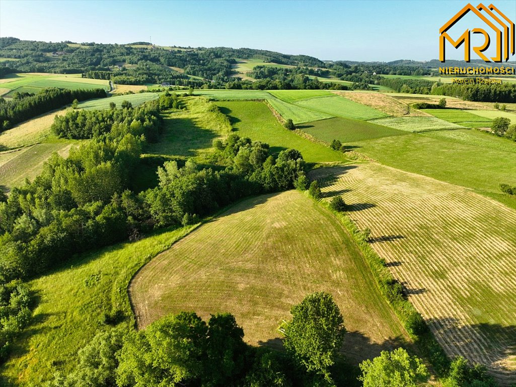 Działka inna na sprzedaż Wola Lubecka  47 900m2 Foto 2