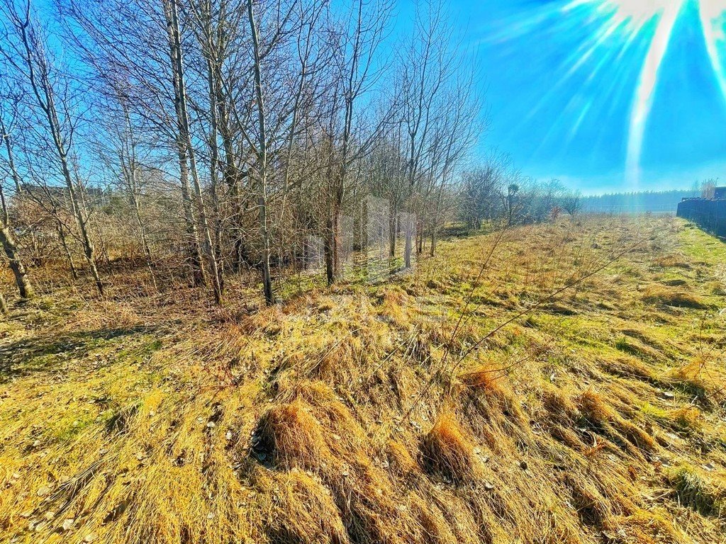 Działka budowlana na sprzedaż Okole, Brzozowa  3 022m2 Foto 9