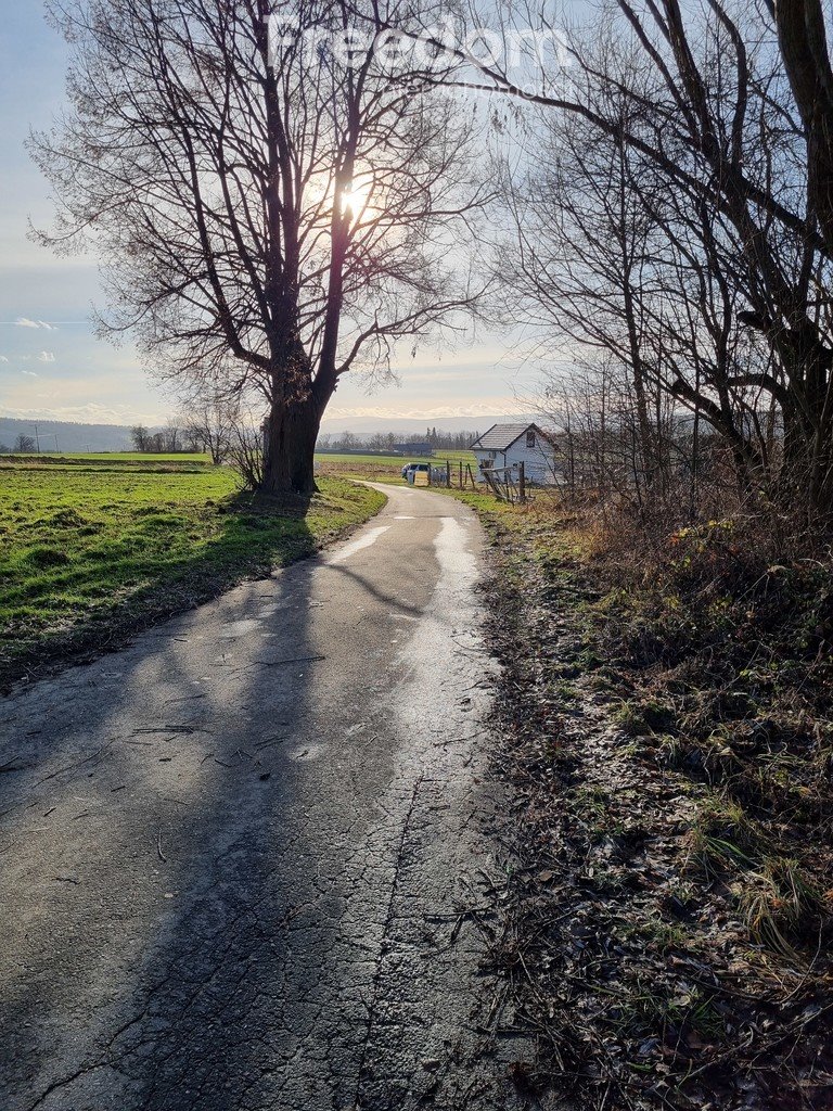 Działka budowlana na sprzedaż Wojbórz  1 665m2 Foto 20