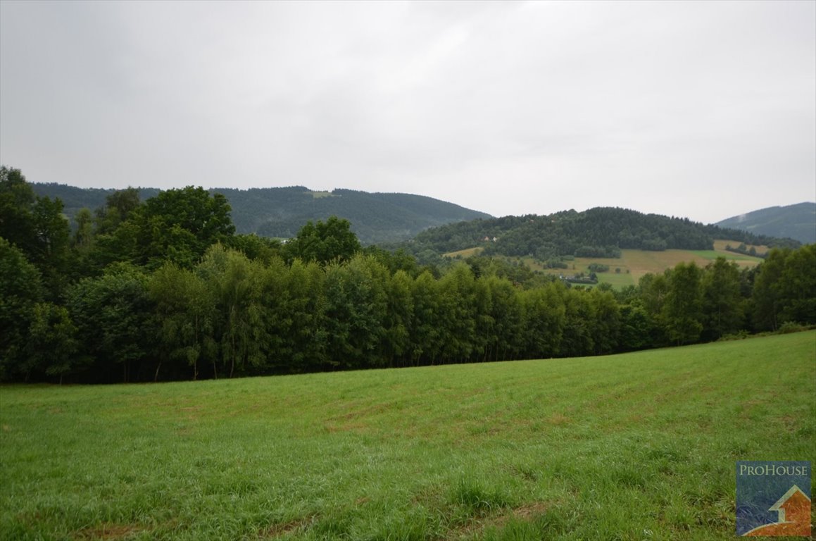 Działka pod zabudowę z pięknym widokiem na góry, 4700 m2 Walowa Góra  4 700m2 Foto 1