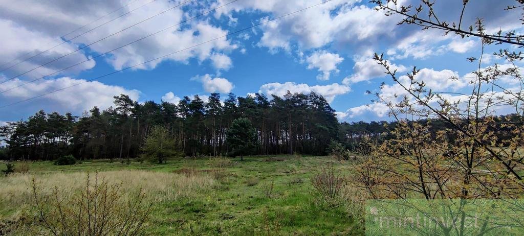 Działka budowlana na sprzedaż Rurzyca  1 380m2 Foto 5