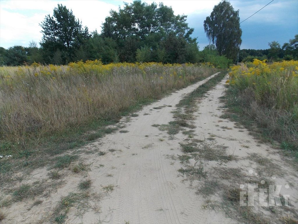 Działka budowlana na sprzedaż Korabiewice  1 100m2 Foto 4