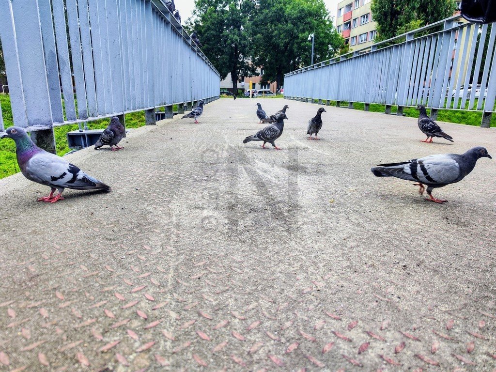 Mieszkanie trzypokojowe na sprzedaż Częstochowa, Śródmieście  63m2 Foto 15