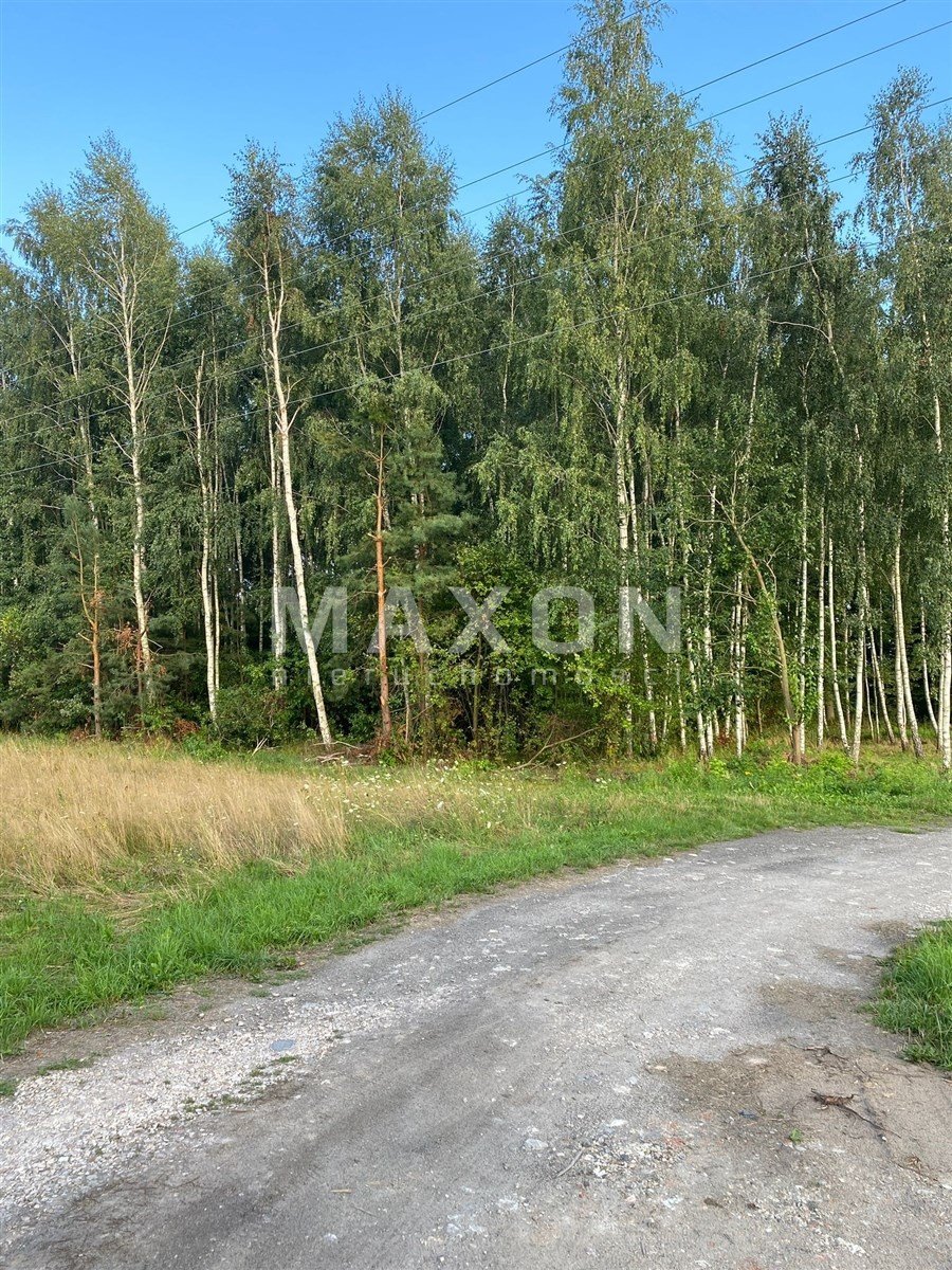 Działka budowlana na sprzedaż Wiskitki  3 000m2 Foto 2