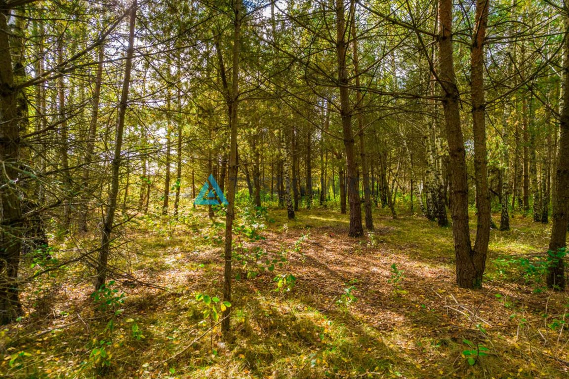 Działka budowlana na sprzedaż Męcikał, Jaśminowa  1 215m2 Foto 10